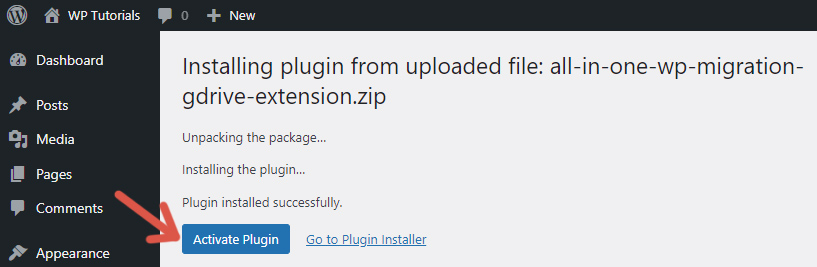 Button to activate the Google Drive extension of the plugin All-in-One WP Migration when it was installed using the procedure that consists of uploading the extension file to WordPress.