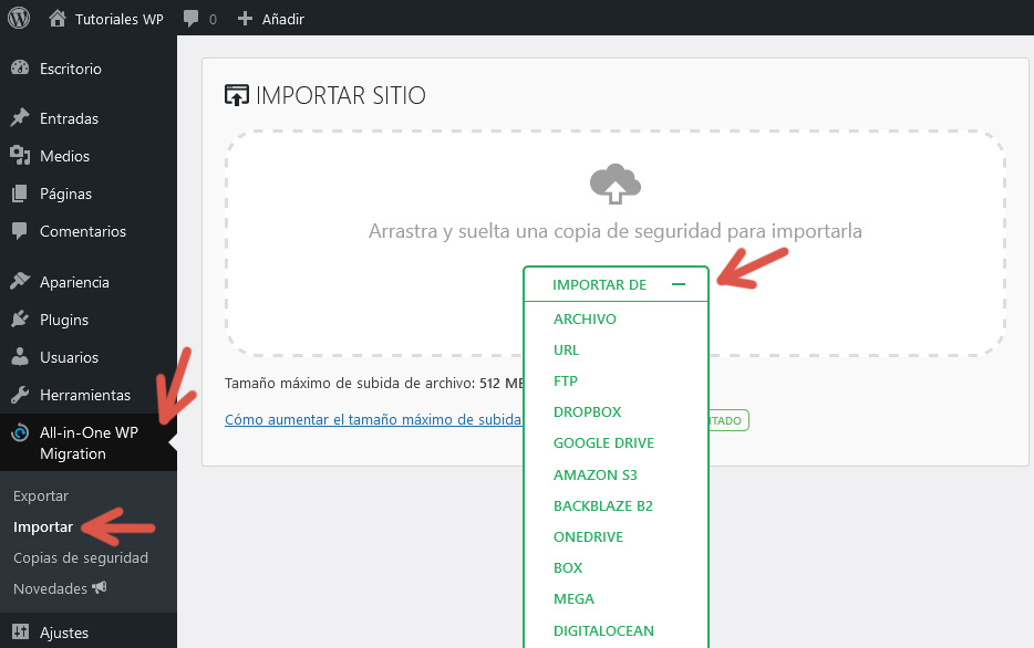 Pantalla "Importar" del plugin All-in-One WP Migration.